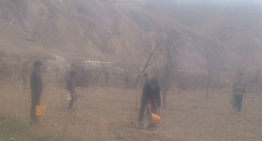 irrigating_the_plants