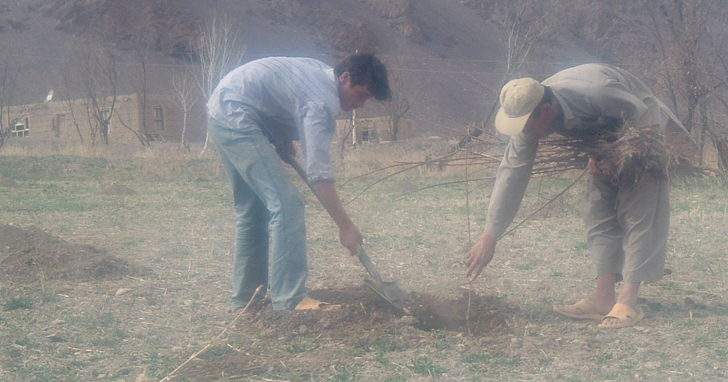 planting_the_tree