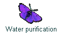 Water purification