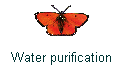 Water purification